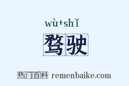 骛驶是什么意思的图片